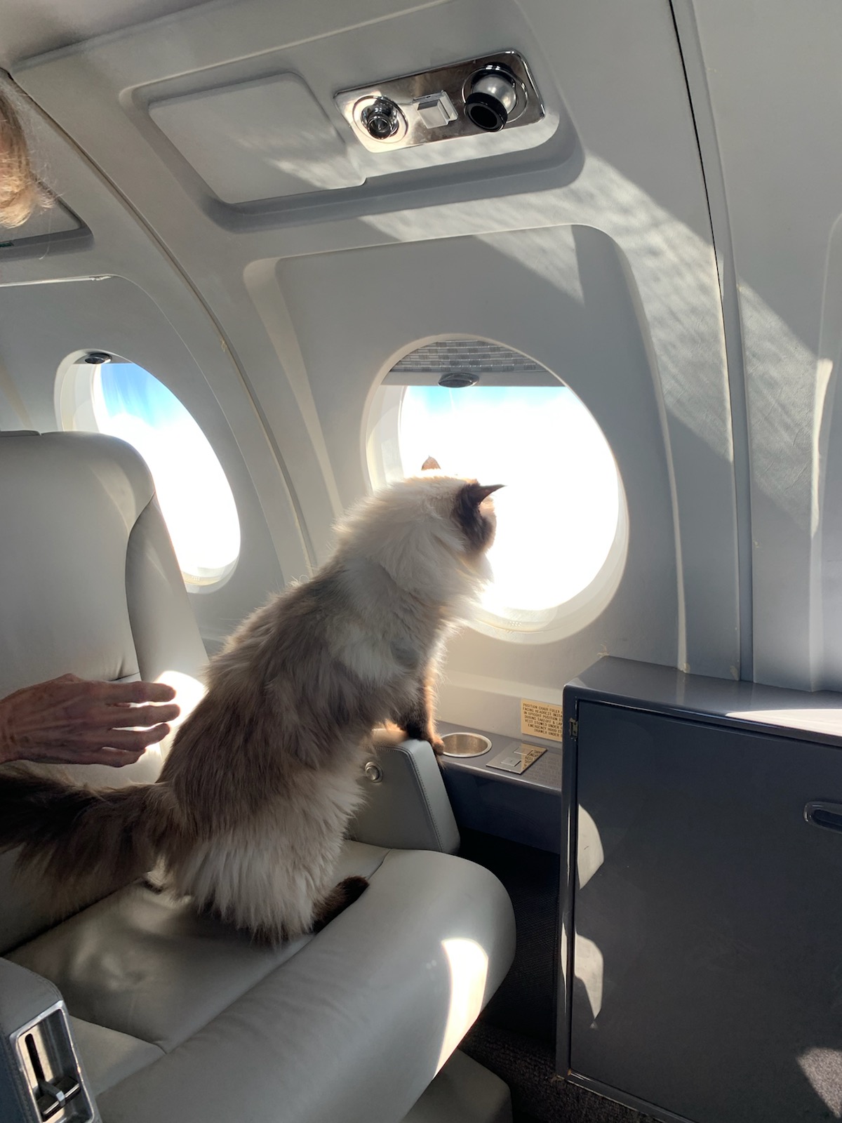 About Us Pet Jets Private Air Transportation