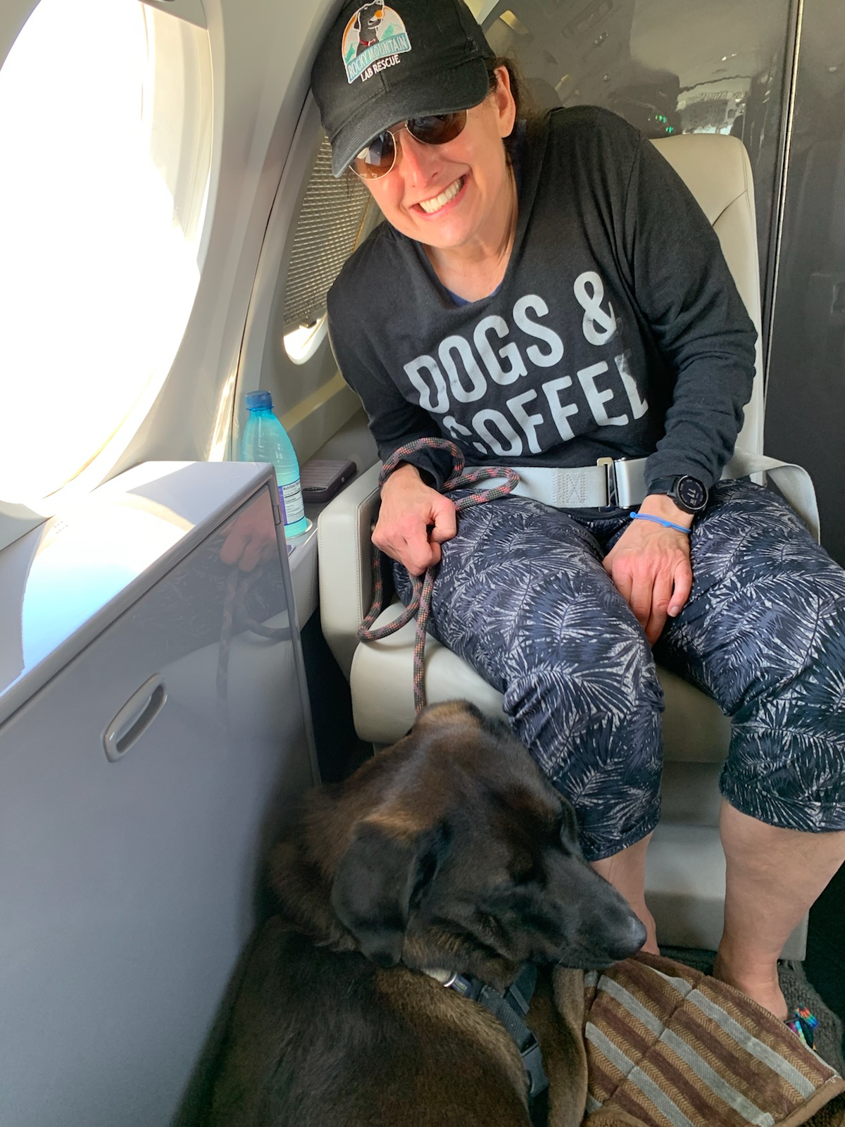 About Us Pet Jets Private Air Transportation