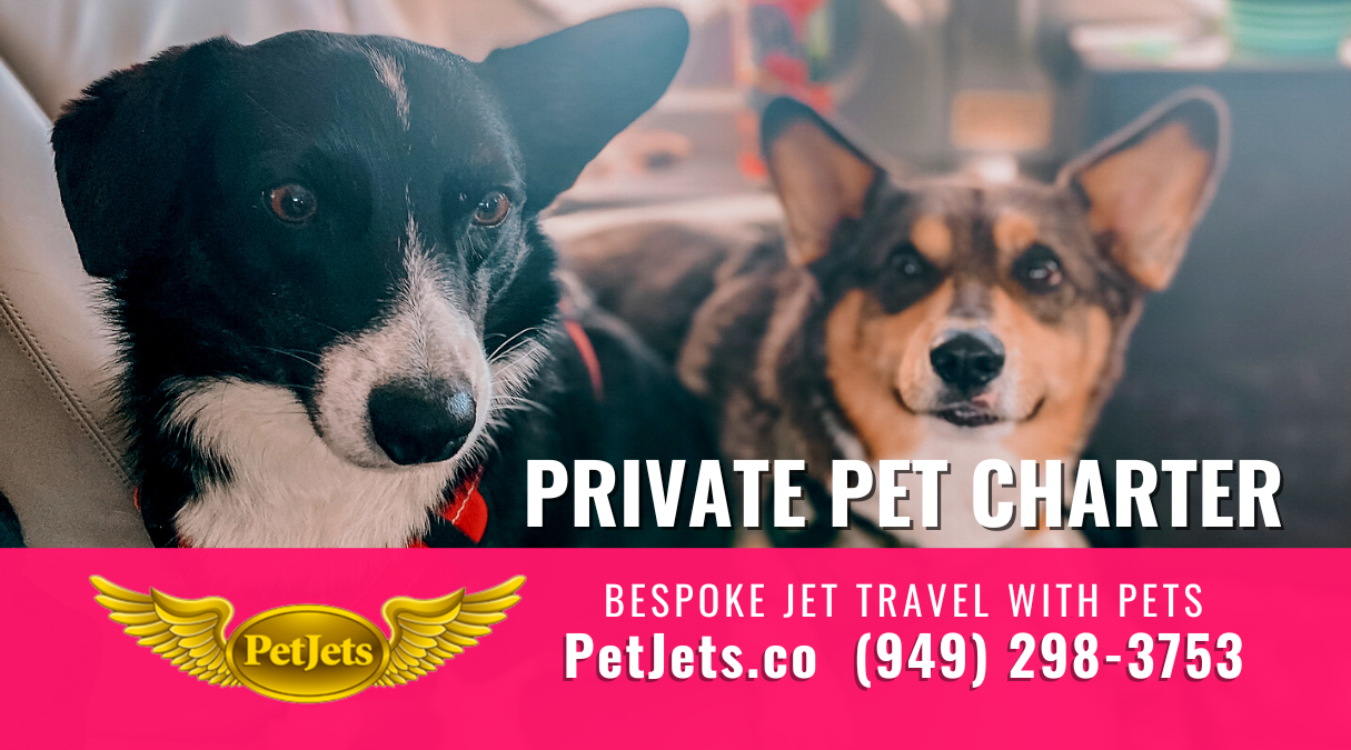 Pet Jets Private Air Transportation for pet owners and pets.