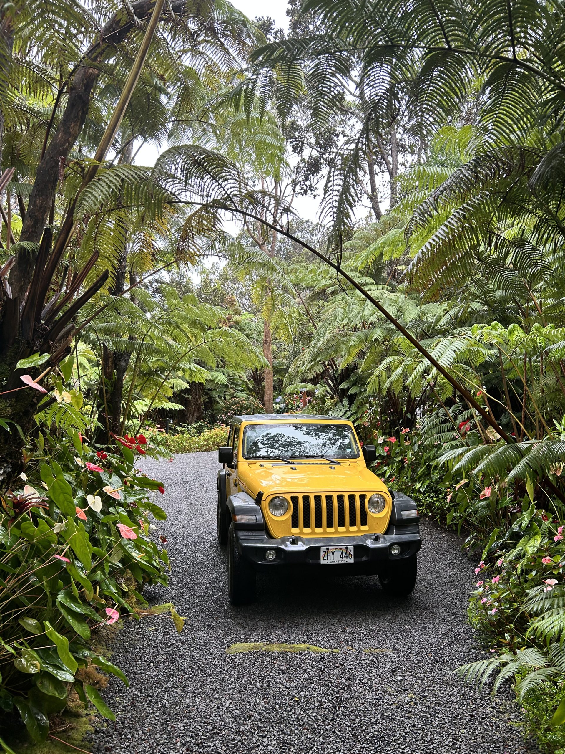 Big Island Hop To See Mauna Loa Pet Jets Private Air Transportation
