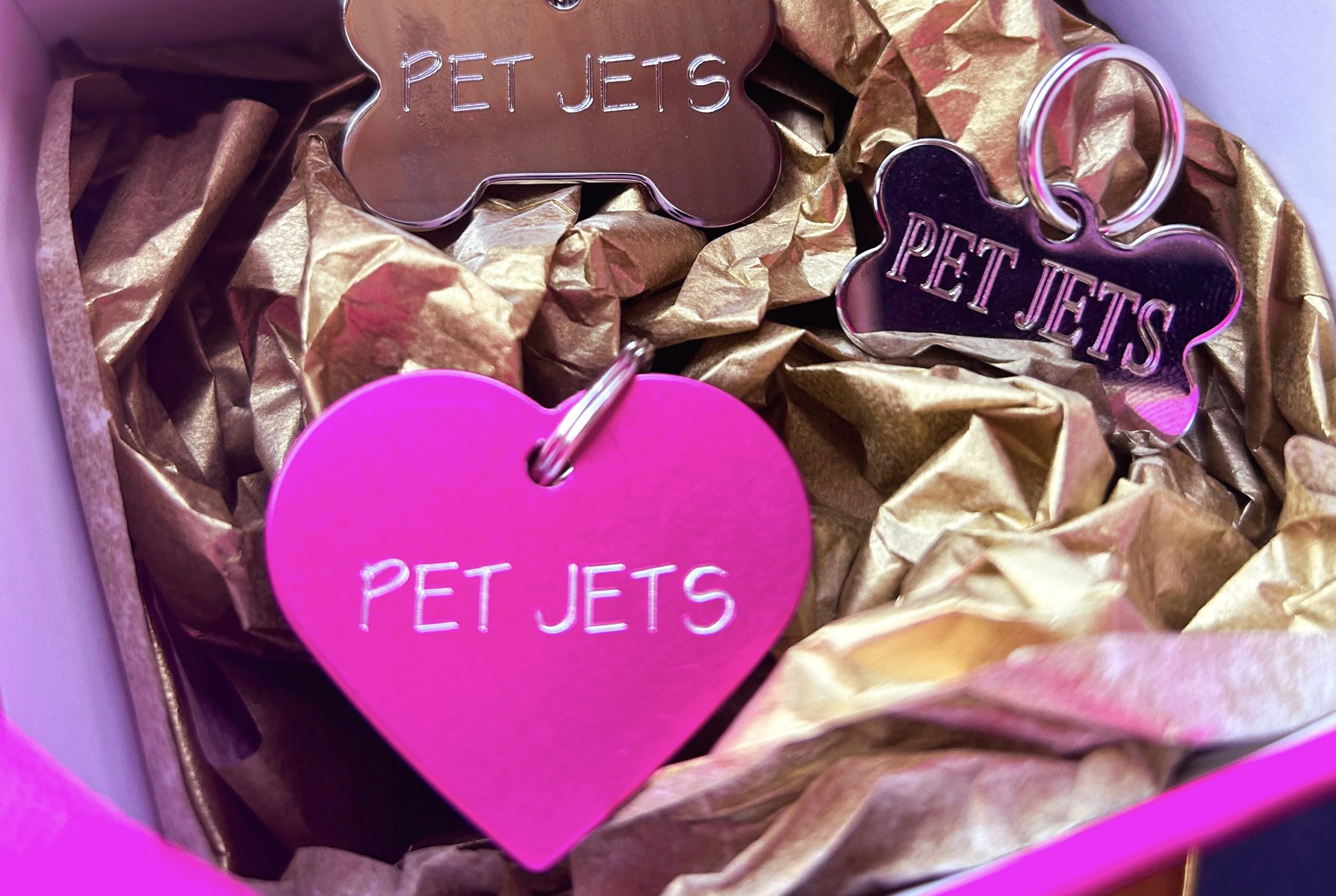 Pet Jets Bespoke Service and Personal Touch Beyond What A Typical