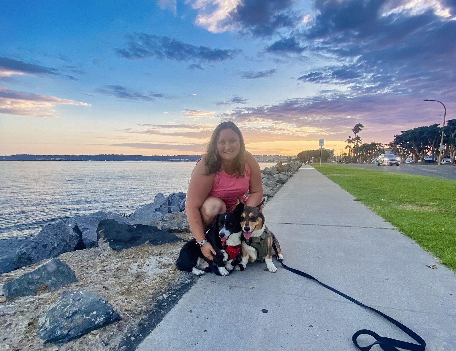 Blog Pet Jets Private Air Transportation