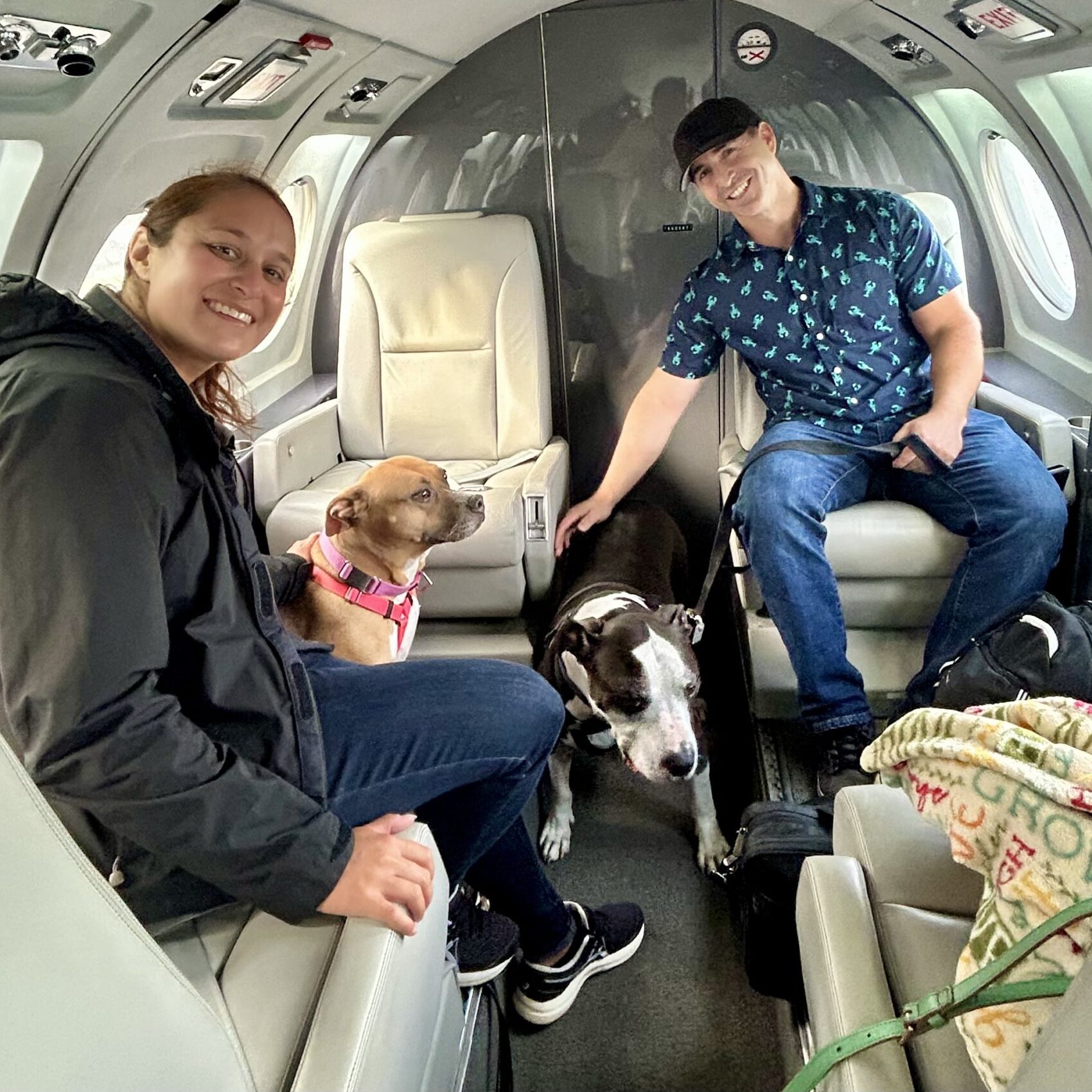 Pets fly comfortably next to their owners during Pet Jet's flights. No cargo, no separation, and no stress!